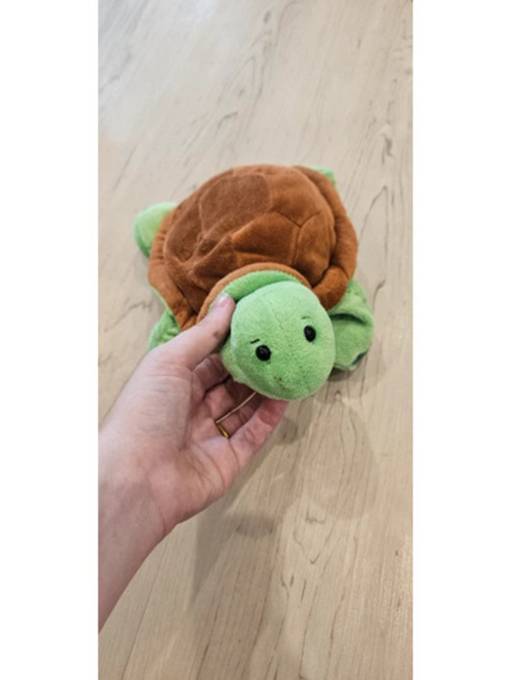 Original webkinz without the tag, turtle